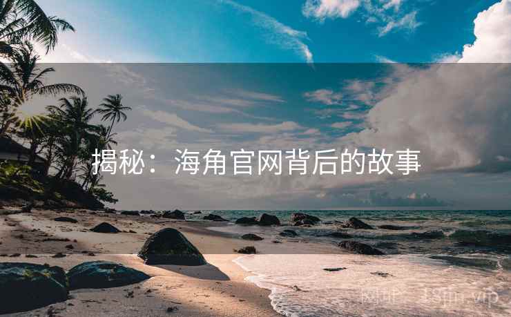 揭秘：海角官网背后的故事  第1张