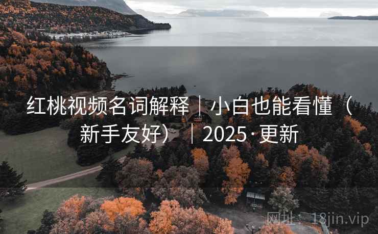 红桃视频名词解释｜小白也能看懂（新手友好）｜2025·更新  第2张