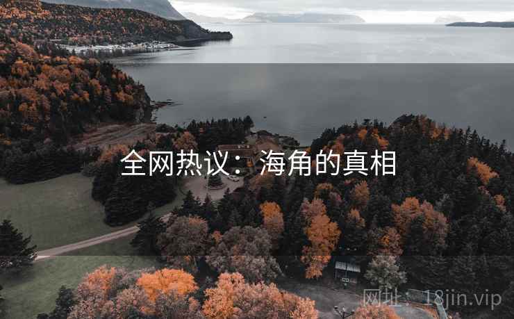 全网热议：海角的真相  第1张