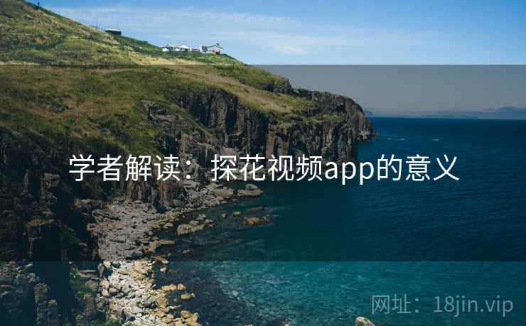 学者解读:探花视频app的意义