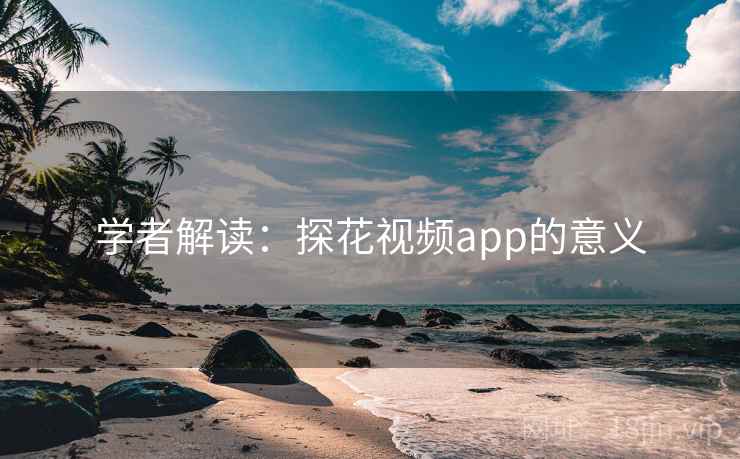 学者解读:探花视频app的意义