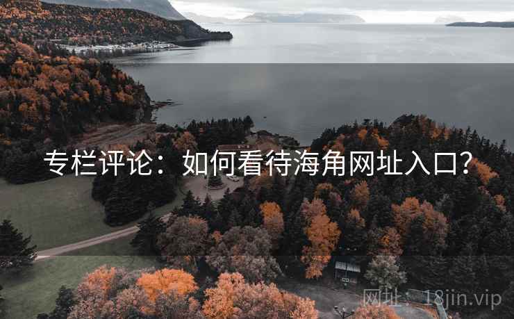 专栏评论：如何看待海角网址入口？
