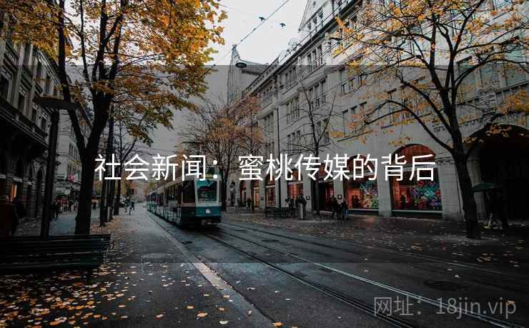 社会新闻：蜜桃传媒的背后