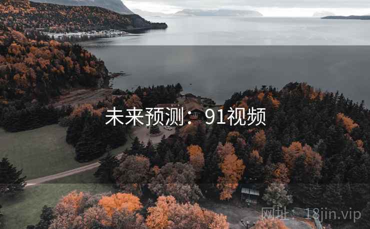 未来预测：91视频